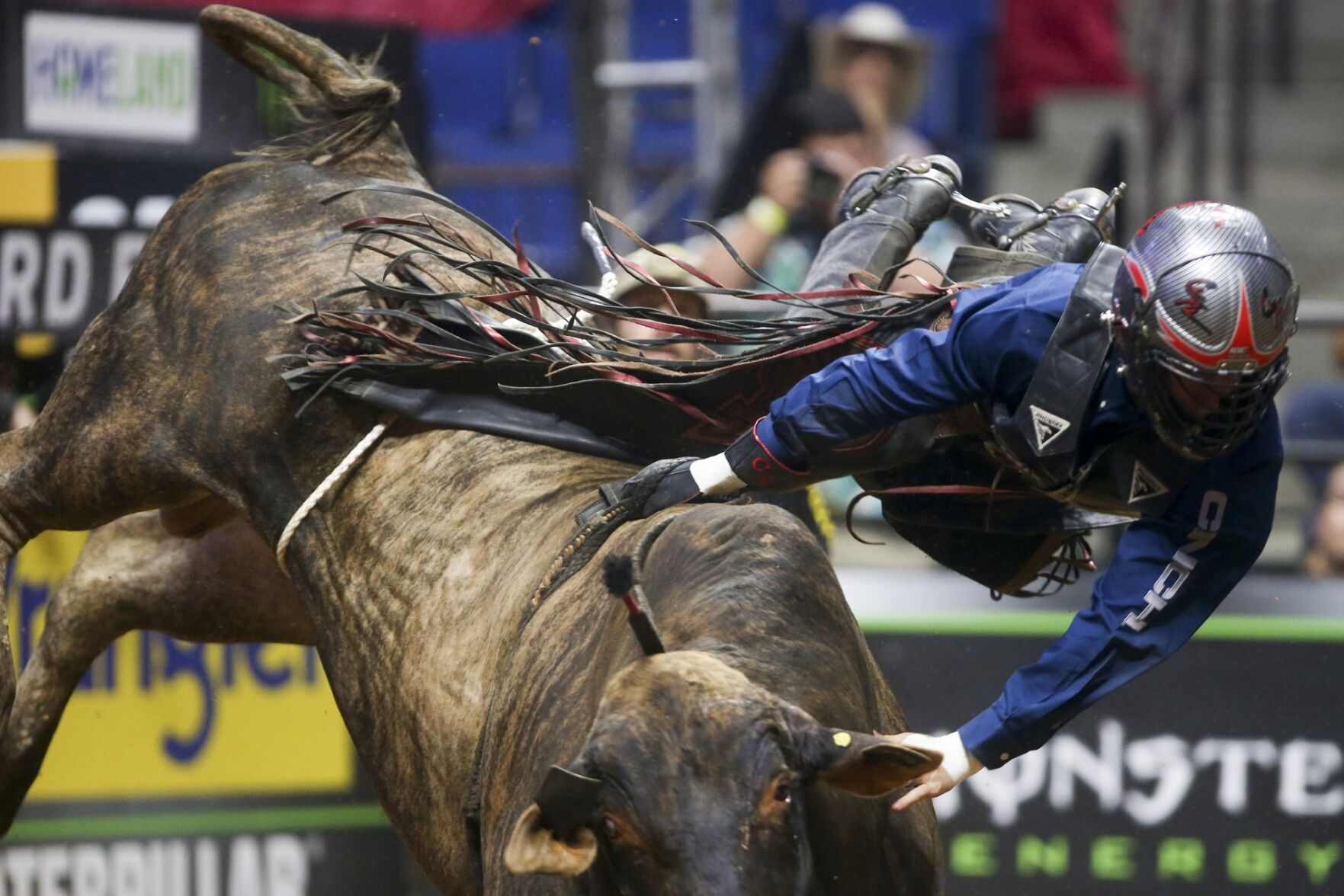 PBR Unleash The Beast
